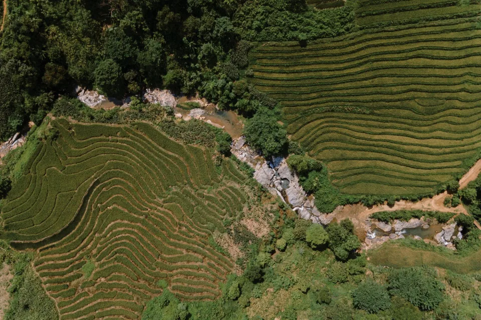 Kho gạo của Nguyễn Thị Nhung
